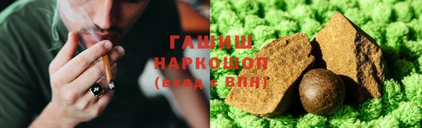 прущие грибы Верея