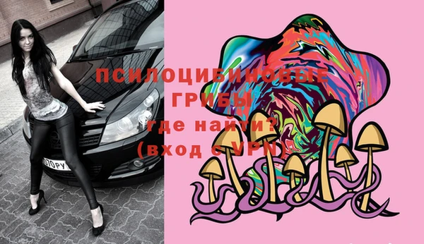 крисы Осинники