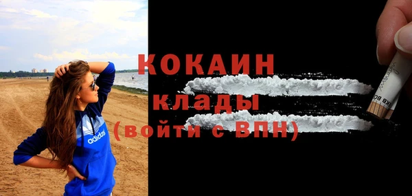 крисы Осинники