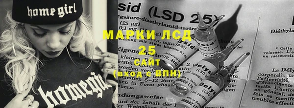 крисы Осинники