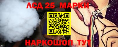 гидропоника Гатчина
