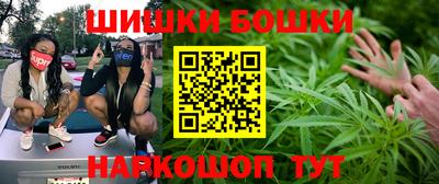гидропоника Гатчина