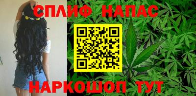 МДПВ Гагарин