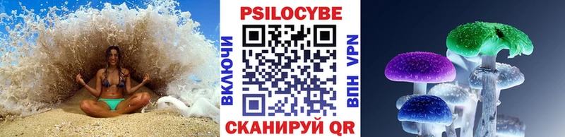 Псилоцибиновые грибы Psilocybine cubensis  Сыктывкар 