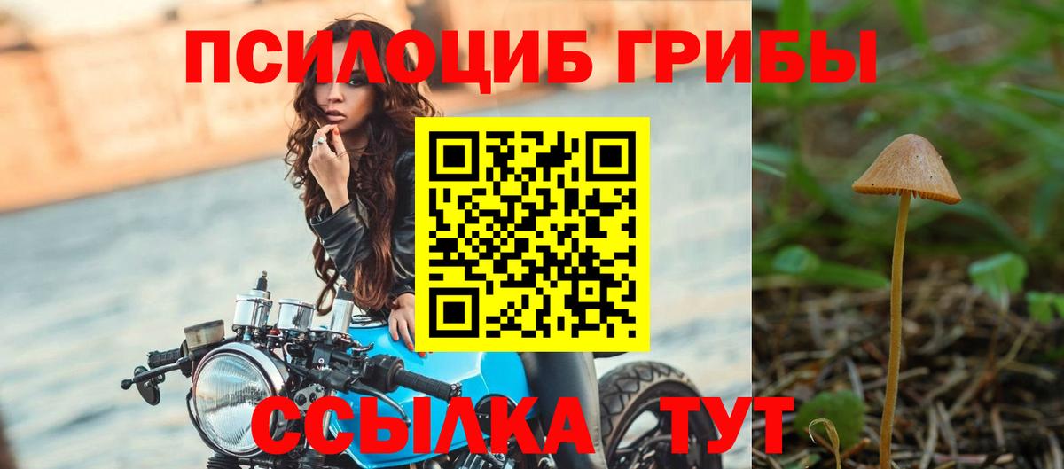 даркнет сайт  Псилоцибиновые грибы ЛСД  Вход с VPN  Сыктывкар  Галлюциногенные грибы мицелий 