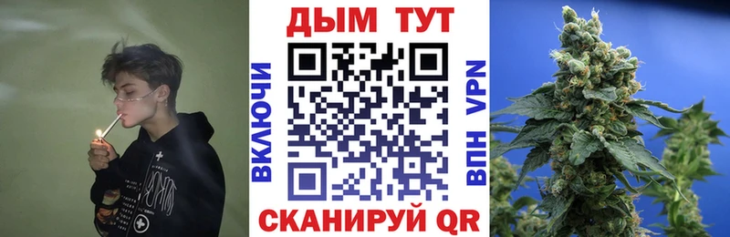 сколько стоит Сыктывкар Конопля ГИДРОПОН